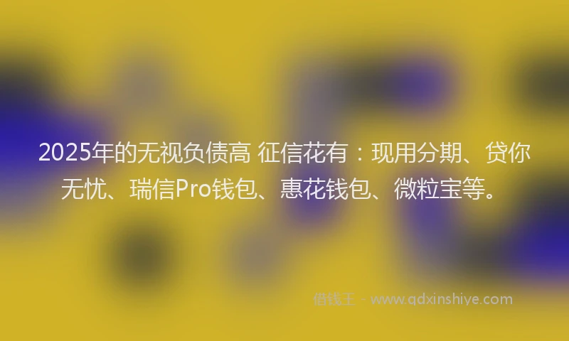 2025年的无视负债高 征信花有：现用分期、贷你无忧、瑞信Pro钱包、惠花钱包、微粒宝等。