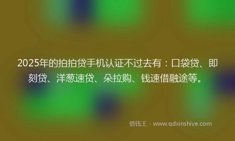 2025年的拍拍贷手机认证不过去有：口袋贷、即刻贷、洋葱速贷、朵拉购、钱速借融途等。