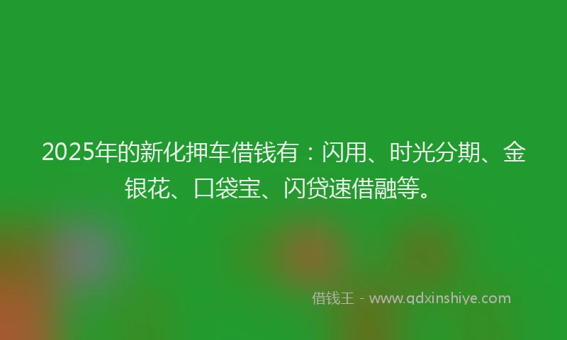 2025年的新化押车借钱有：闪用、时光分期、金银花、口袋宝、闪贷速借融等。
