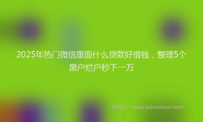 2025年热门微信里面什么贷款好借钱，整理5个黑户烂户秒下一万