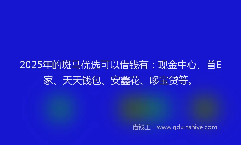 2025年的斑马优选可以借钱有：现金中心、首E家、天天钱包、安鑫花、哆宝贷等。