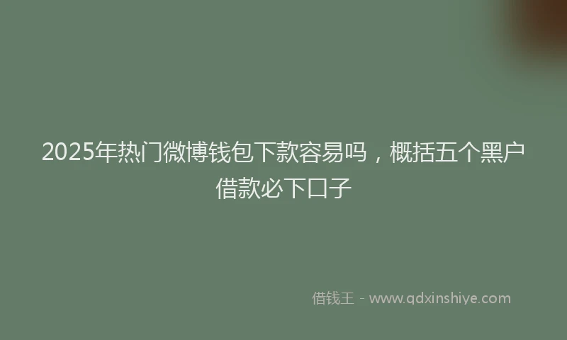2025年热门微博钱包下款容易吗，概括五个黑户借款必下口子
