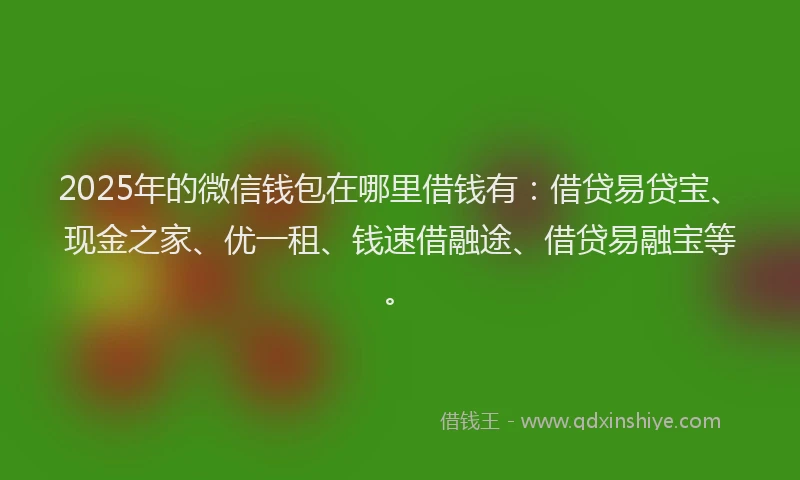 2025年的微信钱包在哪里借钱有：借贷易贷宝、现金之家、优一租、钱速借融途、借贷易融宝等。