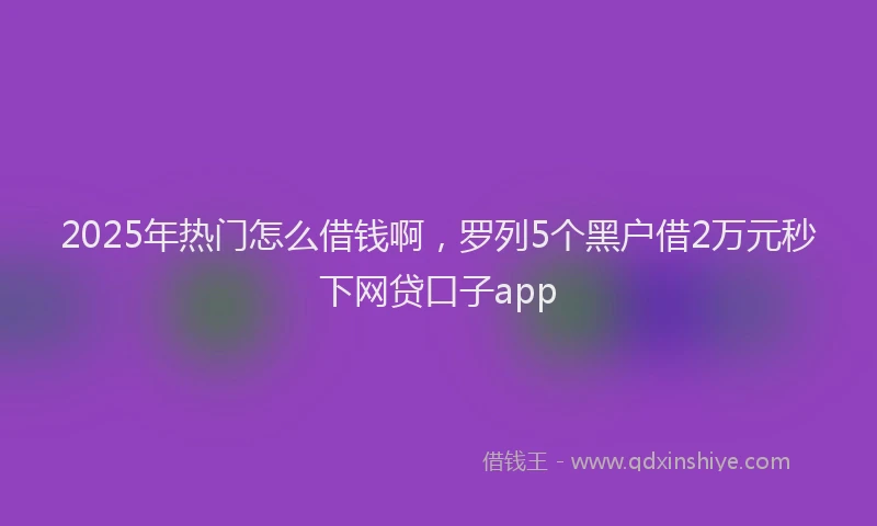 2025年热门怎么借钱啊，罗列5个黑户借2万元秒下网贷口子app