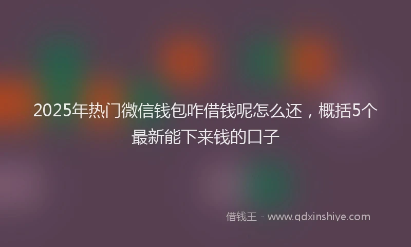 2025年热门微信钱包咋借钱呢怎么还，概括5个最新能下来钱的口子