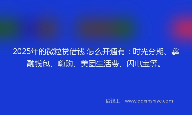 2025年的微粒贷借钱 怎么开通有：时光分期、鑫融钱包、嗨购、美团生活费、闪电宝等。