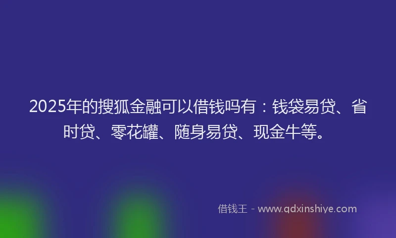 2025年的搜狐金融可以借钱吗有：钱袋易贷、省时贷、零花罐、随身易贷、现金牛等。