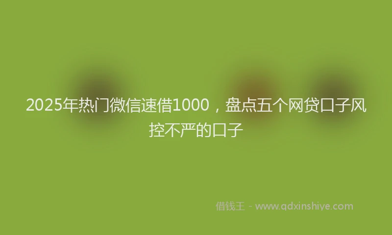 2025年热门微信速借1000，盘点五个网贷口子风控不严的口子