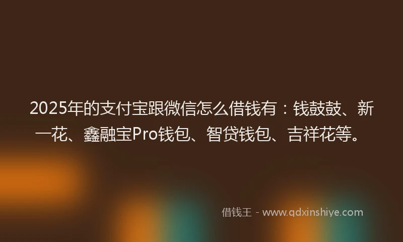 2025年的支付宝跟微信怎么借钱有：钱鼓鼓、新一花、鑫融宝Pro钱包、智贷钱包、吉祥花等。