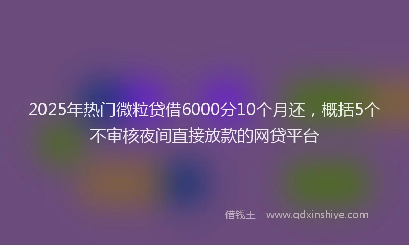 2025年热门微粒贷借6000分10个月还，概括5个不审核夜间直接放款的网贷平台