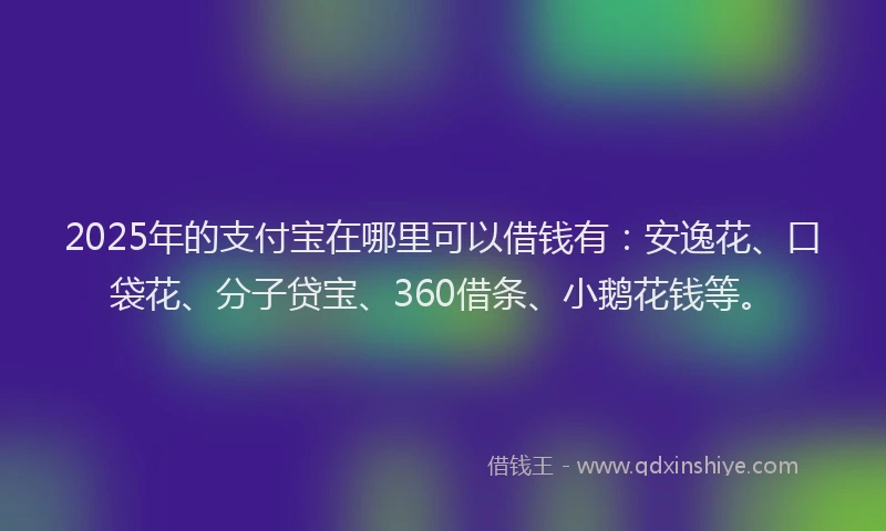 2025年的支付宝在哪里可以借钱有：安逸花、口袋花、分子贷宝、360借条、小鹅花钱等。