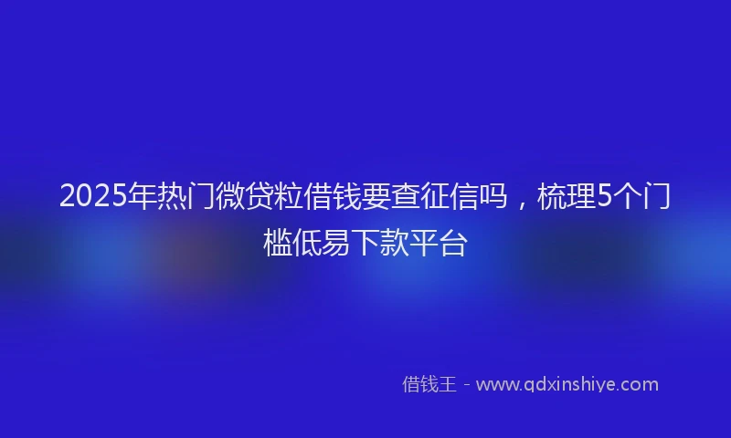 2025年热门微贷粒借钱要查征信吗，梳理5个门槛低易下款平台