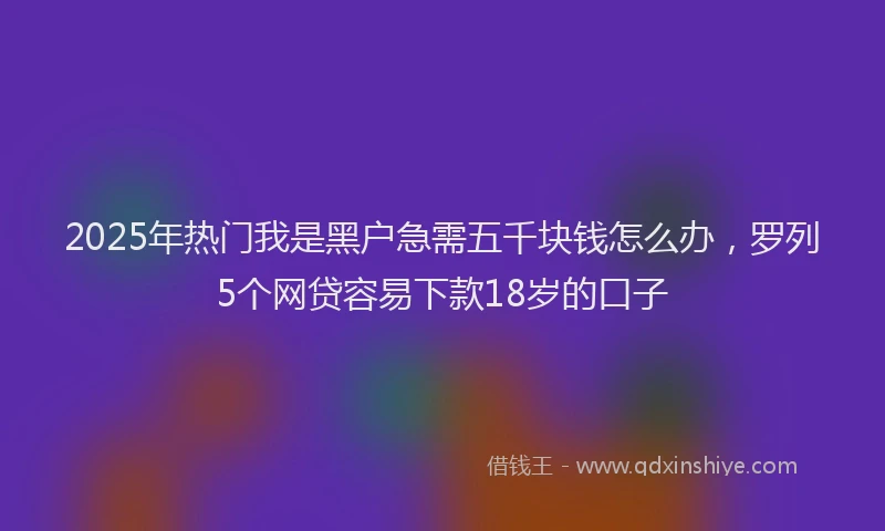 2025年热门我是黑户急需五千块钱怎么办，罗列5个网贷容易下款18岁的口子