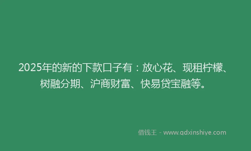 2025年的新的下款口子有：放心花、现租柠檬、树融分期、沪商财富、快易贷宝融等。