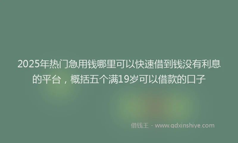 2025年热门急用钱哪里可以快速借到钱没有利息的平台，概括五个满19岁可以借款的口子
