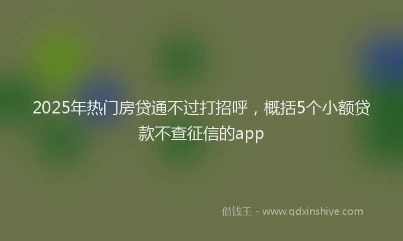 2025年热门房贷通不过打招呼，概括5个小额贷款不查征信的app