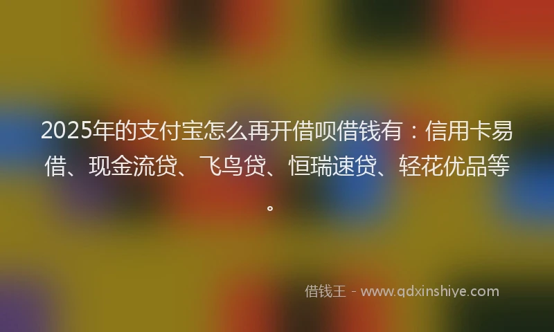 2025年的支付宝怎么再开借呗借钱有：信用卡易借、现金流贷、飞鸟贷、恒瑞速贷、轻花优品等。