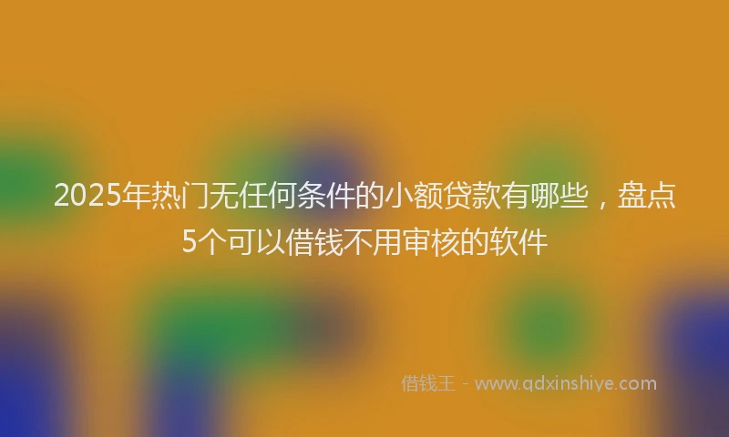 2025年热门无任何条件的小额贷款有哪些，盘点5个可以借钱不用审核的软件
