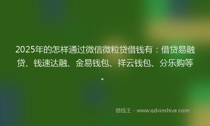 2025年的怎样通过微信微粒贷借钱有：借贷易融贷、钱速达融、金易钱包、祥云钱包、分乐购等。