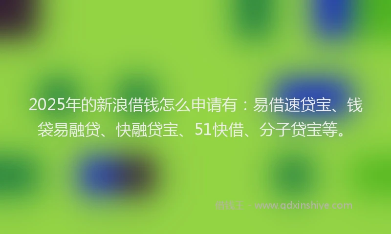 2025年的新浪借钱怎么申请有：易借速贷宝、钱袋易融贷、快融贷宝、51快借、分子贷宝等。