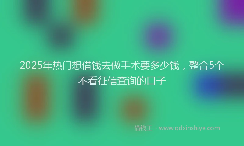 2025年热门想借钱去做手术要多少钱，整合5个不看征信查询的口子