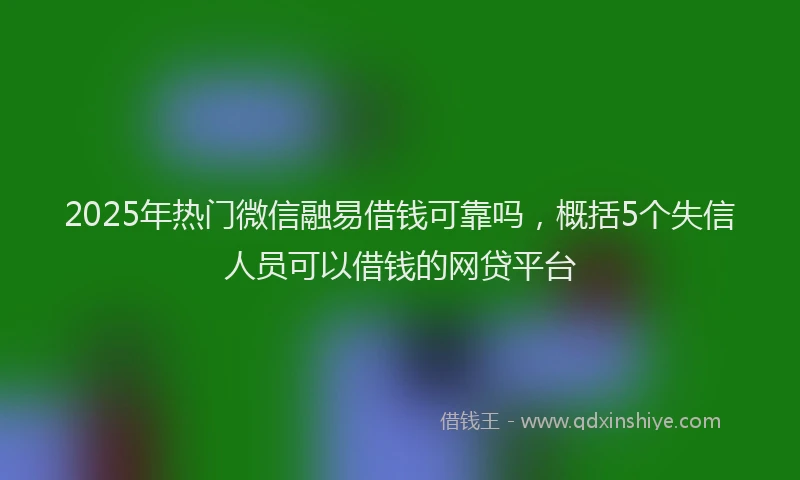 2025年热门微信融易借钱可靠吗，概括5个失信人员可以借钱的网贷平台