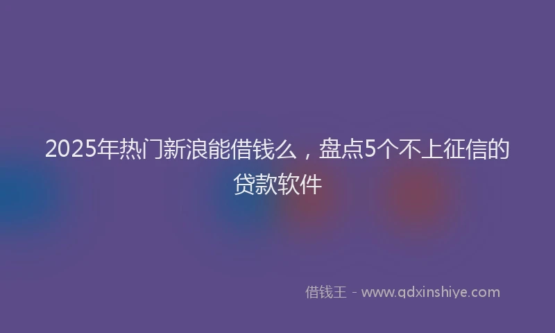 2025年热门新浪能借钱么，盘点5个不上征信的贷款软件