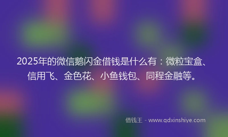 2025年的微信鹅闪金借钱是什么有：微粒宝盒、信用飞、金色花、小鱼钱包、同程金融等。