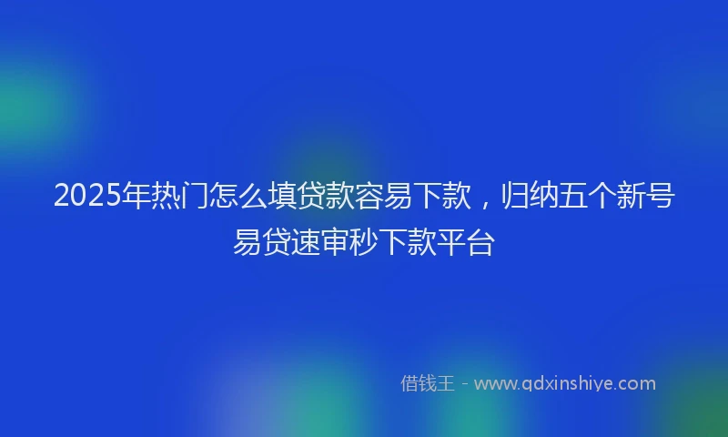 2025年热门怎么填贷款容易下款，归纳五个新号易贷速审秒下款平台