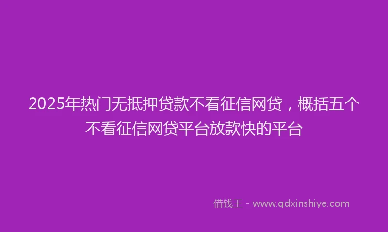 2025年热门无抵押贷款不看征信网贷，概括五个不看征信网贷平台放款快的平台