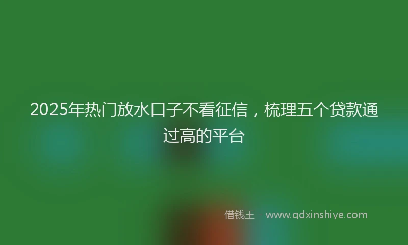 2025年热门放水口子不看征信，梳理五个贷款通过高的平台