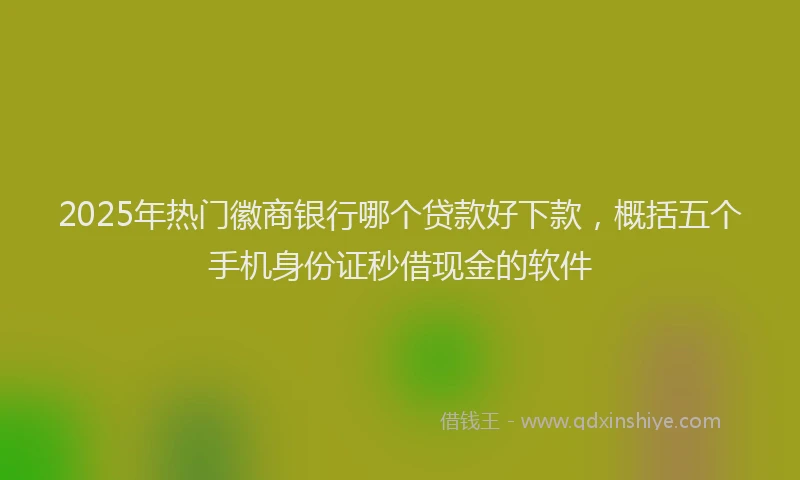 2025年热门徽商银行哪个贷款好下款，概括五个手机身份证秒借现金的软件