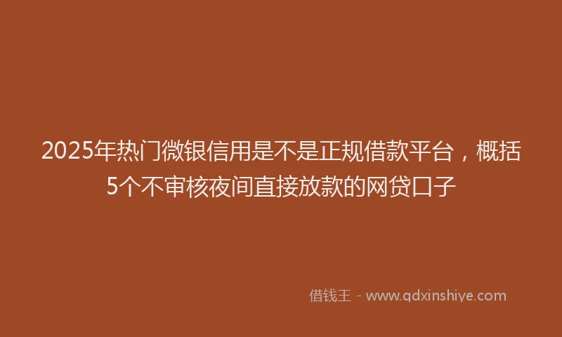 2025年热门微银信用是不是正规借款平台，概括5个不审核夜间直接放款的网贷口子