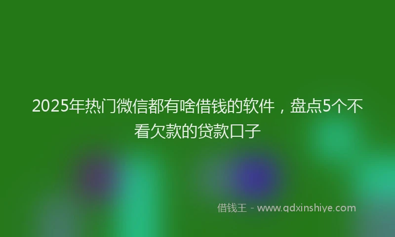 2025年热门微信都有啥借钱的软件，盘点5个不看欠款的贷款口子