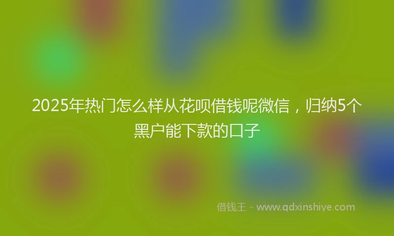 2025年热门怎么样从花呗借钱呢微信，归纳5个黑户能下款的口子