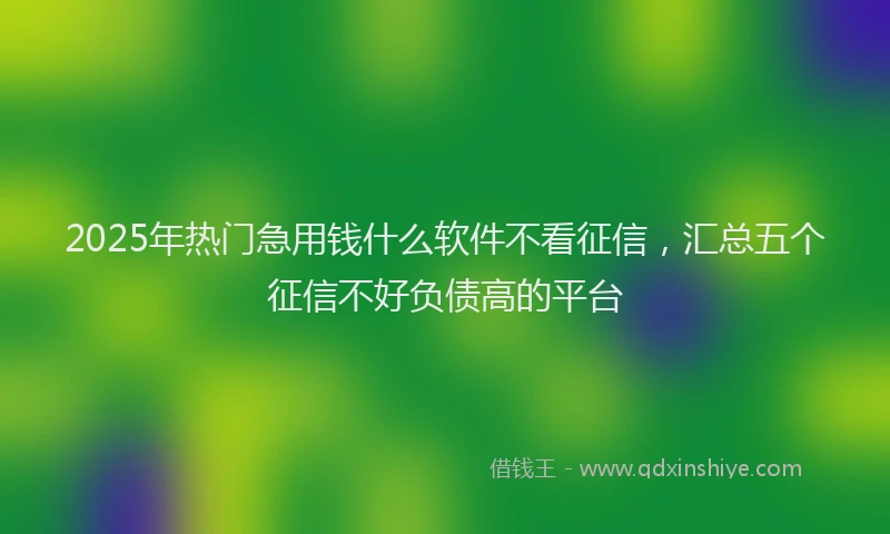 2025年热门急用钱什么软件不看征信，汇总五个征信不好负债高的平台