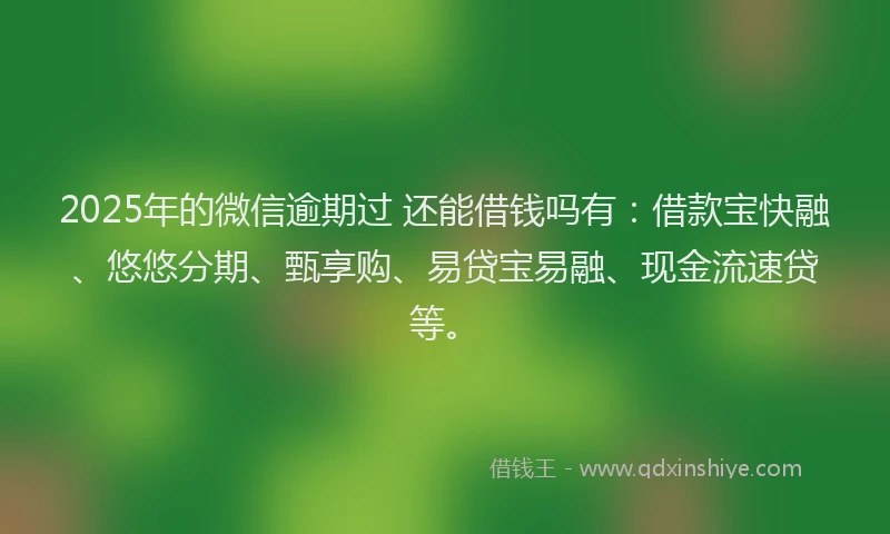 2025年的微信逾期过 还能借钱吗有：借款宝快融、悠悠分期、甄享购、易贷宝易融、现金流速贷等。