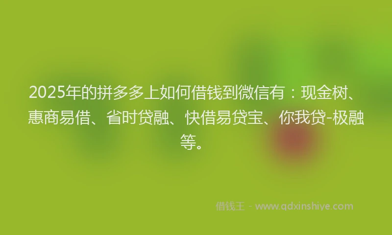 2025年的拼多多上如何借钱到微信有：现金树、惠商易借、省时贷融、快借易贷宝、你我贷-极融等。