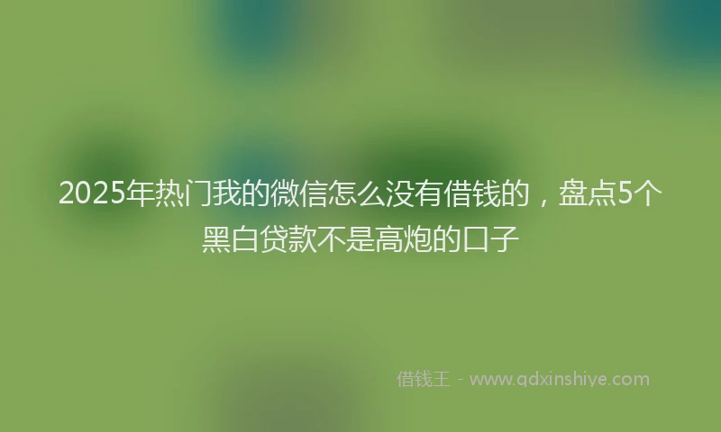 2025年热门我的微信怎么没有借钱的，盘点5个黑白贷款不是高炮的口子
