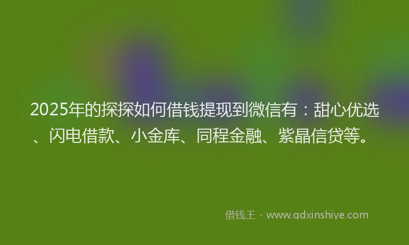 2025年的探探如何借钱提现到微信有：甜心优选、闪电借款、小金库、同程金融、紫晶信贷等。