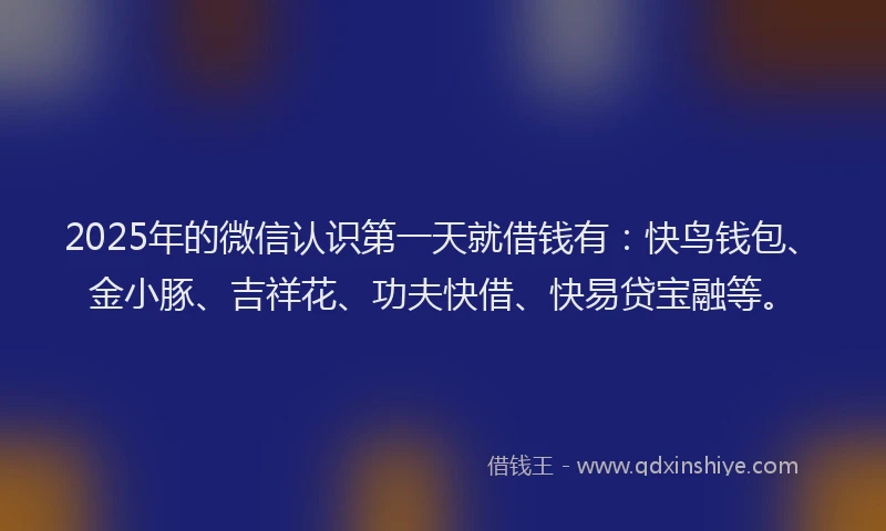 2025年的微信认识第一天就借钱有：快鸟钱包、金小豚、吉祥花、功夫快借、快易贷宝融等。