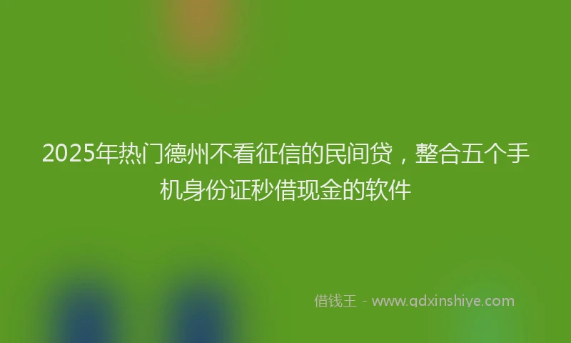 2025年热门德州不看征信的民间贷，整合五个手机身份证秒借现金的软件