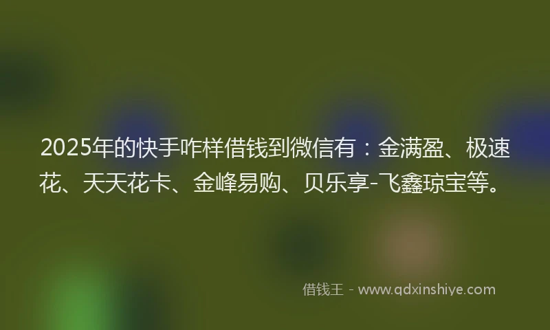 2025年的快手咋样借钱到微信有：金满盈、极速花、天天花卡、金峰易购、贝乐享-飞鑫琼宝等。