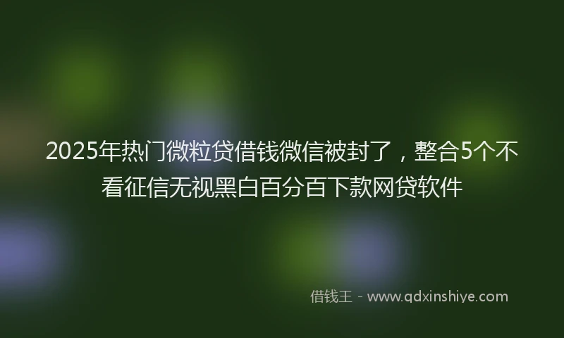 2025年热门微粒贷借钱微信被封了，整合5个不看征信无视黑白百分百下款网贷软件