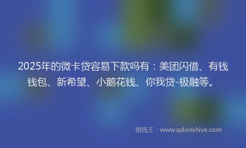 2025年的微卡贷容易下款吗有：美团闪借、有钱钱包、新希望、小鹅花钱、你我贷-极融等。