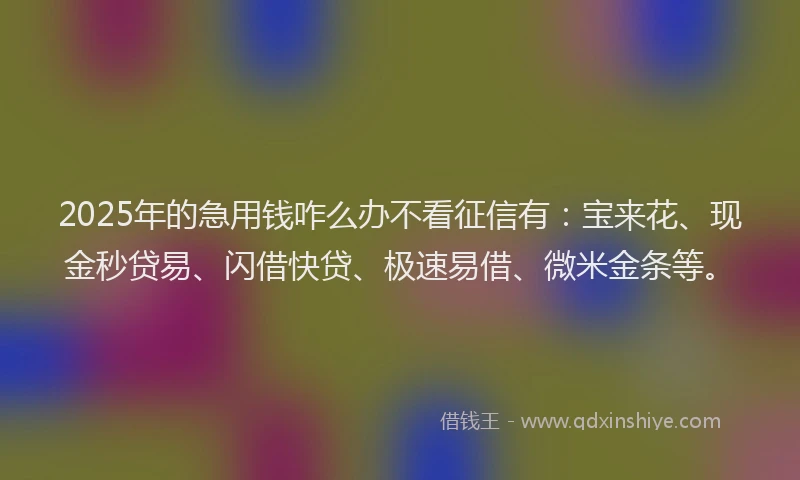 2025年的急用钱咋么办不看征信有：宝来花、现金秒贷易、闪借快贷、极速易借、微米金条等。