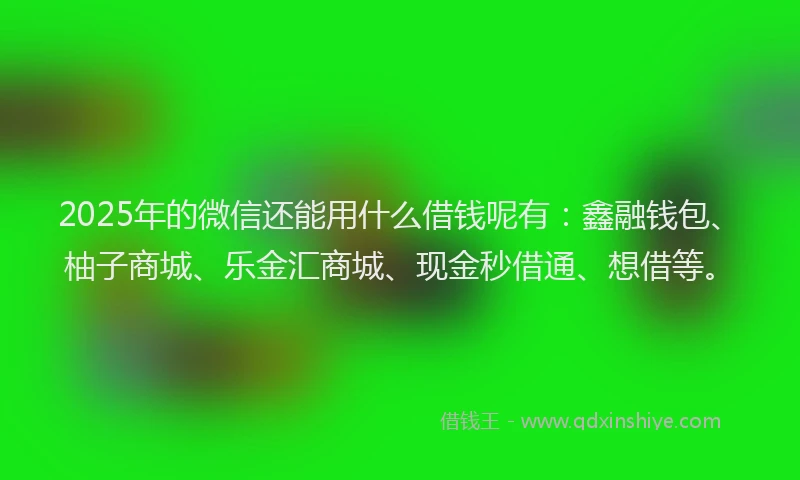 2025年的微信还能用什么借钱呢有：鑫融钱包、柚子商城、乐金汇商城、现金秒借通、想借等。