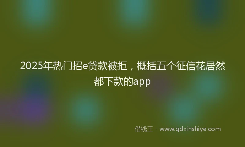 2025年热门招e贷款被拒，概括五个征信花居然都下款的app