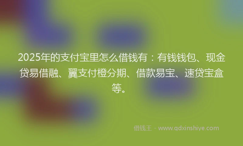 2025年的支付宝里怎么借钱有：有钱钱包、现金贷易借融、翼支付橙分期、借款易宝、速贷宝盒等。