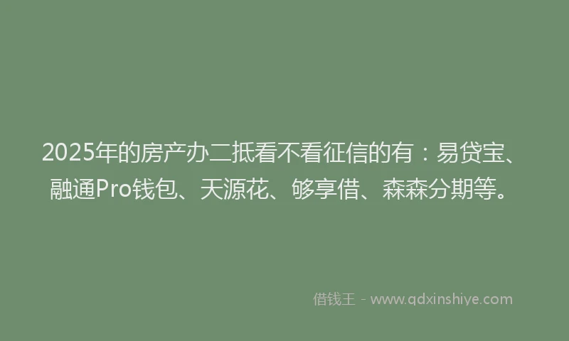 2025年的房产办二抵看不看征信的有：易贷宝、融通Pro钱包、天源花、够享借、森森分期等。